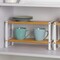 2 Tier Standing Rack for Spices Bottles Dishes Countertop Organizer Home Decor